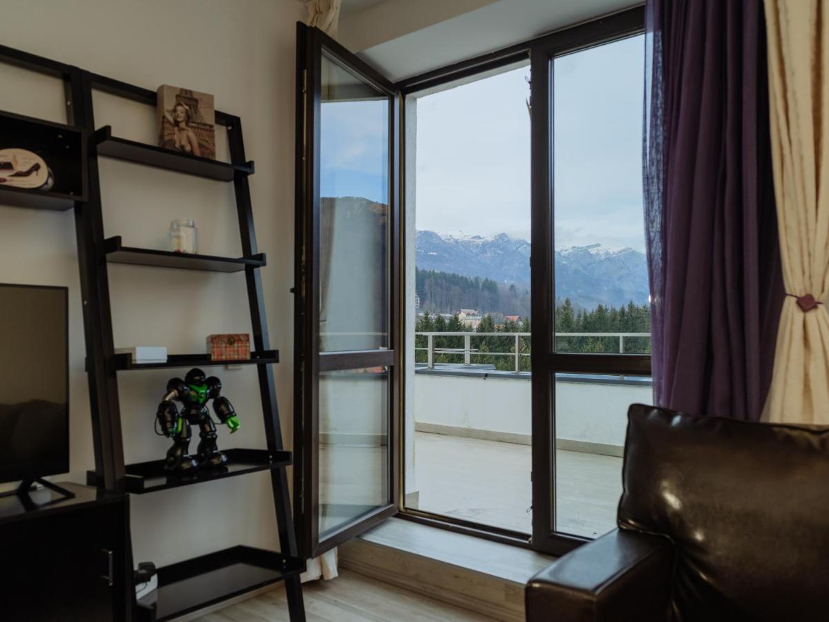 锡纳亚Panoramic Loft Colina Marei公寓 外观 照片